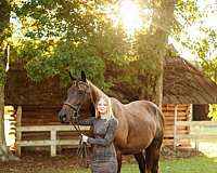 breeding-thoroughbred-horse