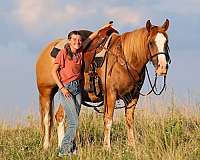 red-dun-foundation-pony