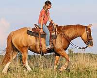 red-dun-lesson-pony
