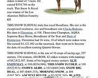 barrel-quarter-horse