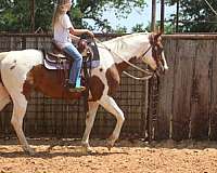 ridden-western-paint-horse