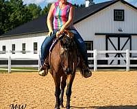ranch-work-quarter-horse