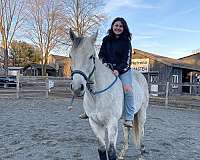 12-thoroughbred-horse