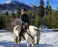 broodmare-quarter-horse