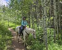 creek-quarter-horse
