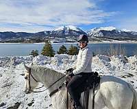 color-quarter-horse