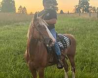chestnut-blaze-horse