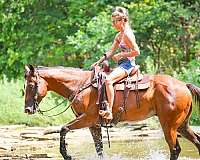 athletic-quarter-horse