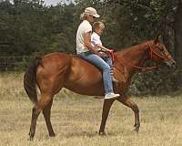 lesson-quarter-pony