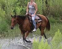 performance-quarter-pony