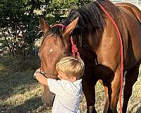 ranch-quarter-pony