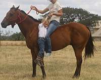 ridden-western-quarter-pony