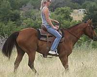 therapy-quarter-pony