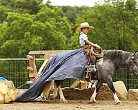 husband-safe-pony