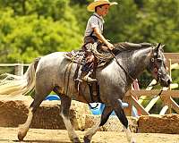 kid-safe-pony