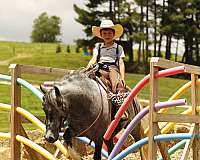 lesson-pony