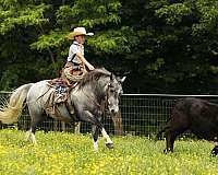 pony-club