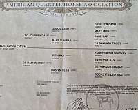 barrel-racing-quarter-horse
