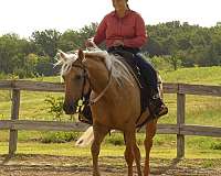 palomino-ranch-horse