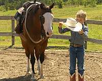 ranch-versatility-quarter-horse