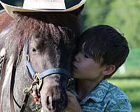 attention-miniature-pony