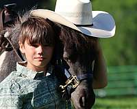 call-miniature-pony