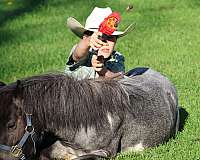 cowgirl-miniature-pony