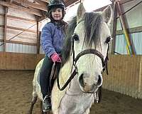 grey-wpcsa-pony