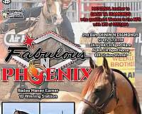 barrel-quarter-horse