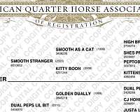 barrel-quarter-horse