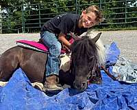 black-n-white-pony