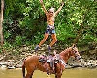 all-around-quarter-horse