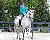 apsl-lusitano-mare