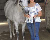 broodmare-potential-appendix-horse