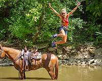 beginner-quarter-horse