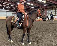project-curly-mustang-horse