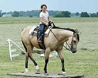 trail-riding-quarter-horse