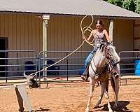 athletic-draft-horse