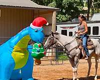 draft-horse