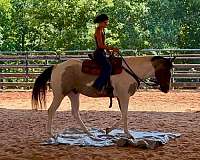 trail-riding-draft-horse