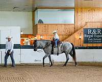 driving-draft-horse