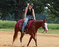reining-quarter-pony