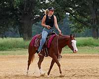 trail-quarter-pony