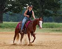 trail-riding-quarter-pony
