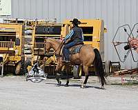 ranch-versatility-quarter-horse