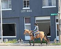 roping-quarter-horse