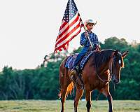 barrel-racing-quarter-horse