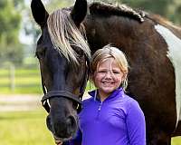 ridden-english-gypsy-vanner-horse