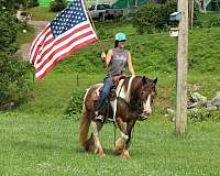 ranch-versatility-gypsy-vanner-horse