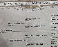 endurance-quarter-horse